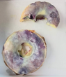 Donuts (Blueberry) Half Dozen